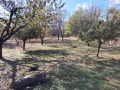 Продава КЪЩА, с. Екзарх Йосиф, област Русе, снимка 8