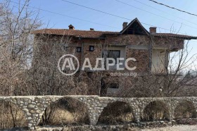 ������ ������� ����