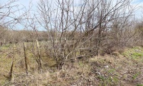 ������� ������ | Imot.bg � ����� ������ 8