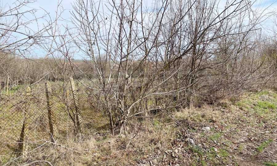 Продава ПАРЦЕЛ, с. Кочмар, област Добрич, снимка 8 - Парцели - 55441621