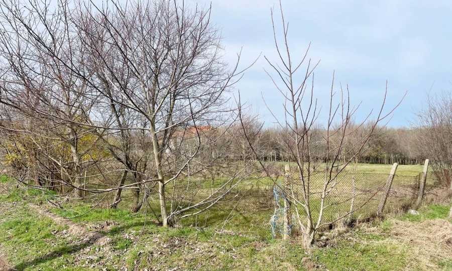 Продава ПАРЦЕЛ, с. Кочмар, област Добрич, снимка 2 - Парцели - 55441621