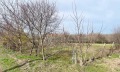 Продава ПАРЦЕЛ, с. Кочмар, област Добрич, снимка 2