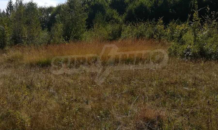 ������� ������ | Imot.bg � ����������� 14