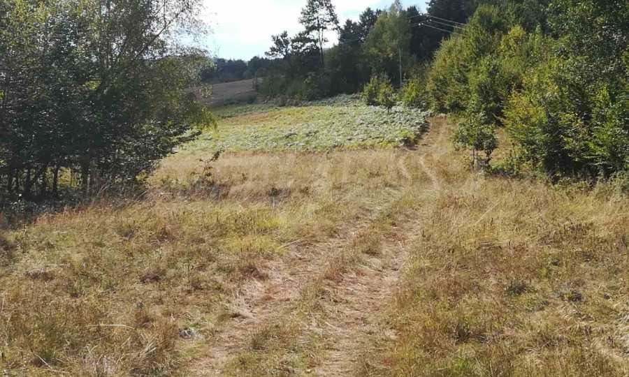 Продава ПАРЦЕЛ, с. Рибарица, област Ловеч, снимка 3 - Парцели - 53789368