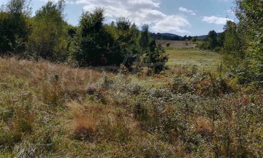 Продава ПАРЦЕЛ, с. Рибарица, област Ловеч, снимка 17 - Парцели - 53789368