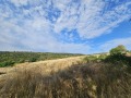 Продава СКЛАД, област Стара Загора, с. Люляк • 800000 € / 1564664.00 лв. • 16745470 5