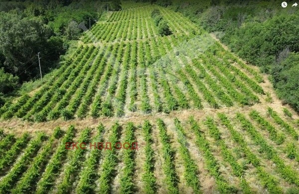 ������� ������ | Imot.bg � ����������� 2