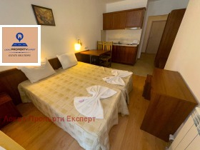 Studio Bansko, region Blagoevgrad 4