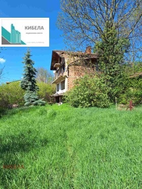 ����� ������� ����,�. ���������, ������ �����