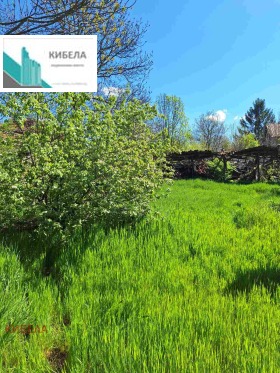 ����� ������� ����,�. ���������, ������ �����