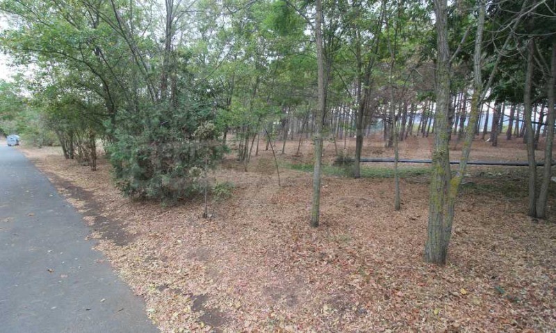 Продава ПАРЦЕЛ, с. Лозенец, област Бургас, снимка 4 - Парцели - 52073067