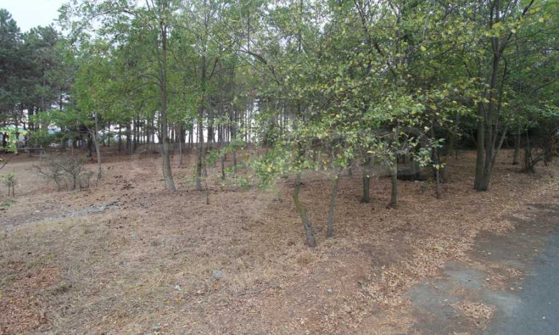 Продава ПАРЦЕЛ, с. Лозенец, област Бургас, снимка 3 - Парцели - 52073067