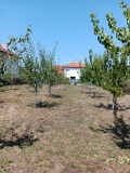 Продава ПАРЦЕЛ, област Враца, с. Лиляче • 12000 € / 23469.96 лв. • 77566682 1