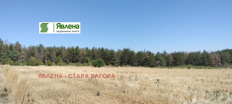 Zu verkaufen  Handlung region Stara Sagora , Malka Wereja , 5004 qm | 42248091 - Bild [7]