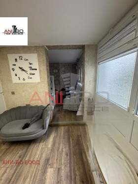 ����� ������� ����,���� �����, ������