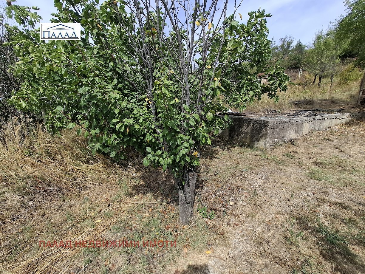 ������� ������ | Imot.bg � ����������� 10
