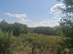 Продажба на имоти в с. Лясково, област Добрич - изображение 3 