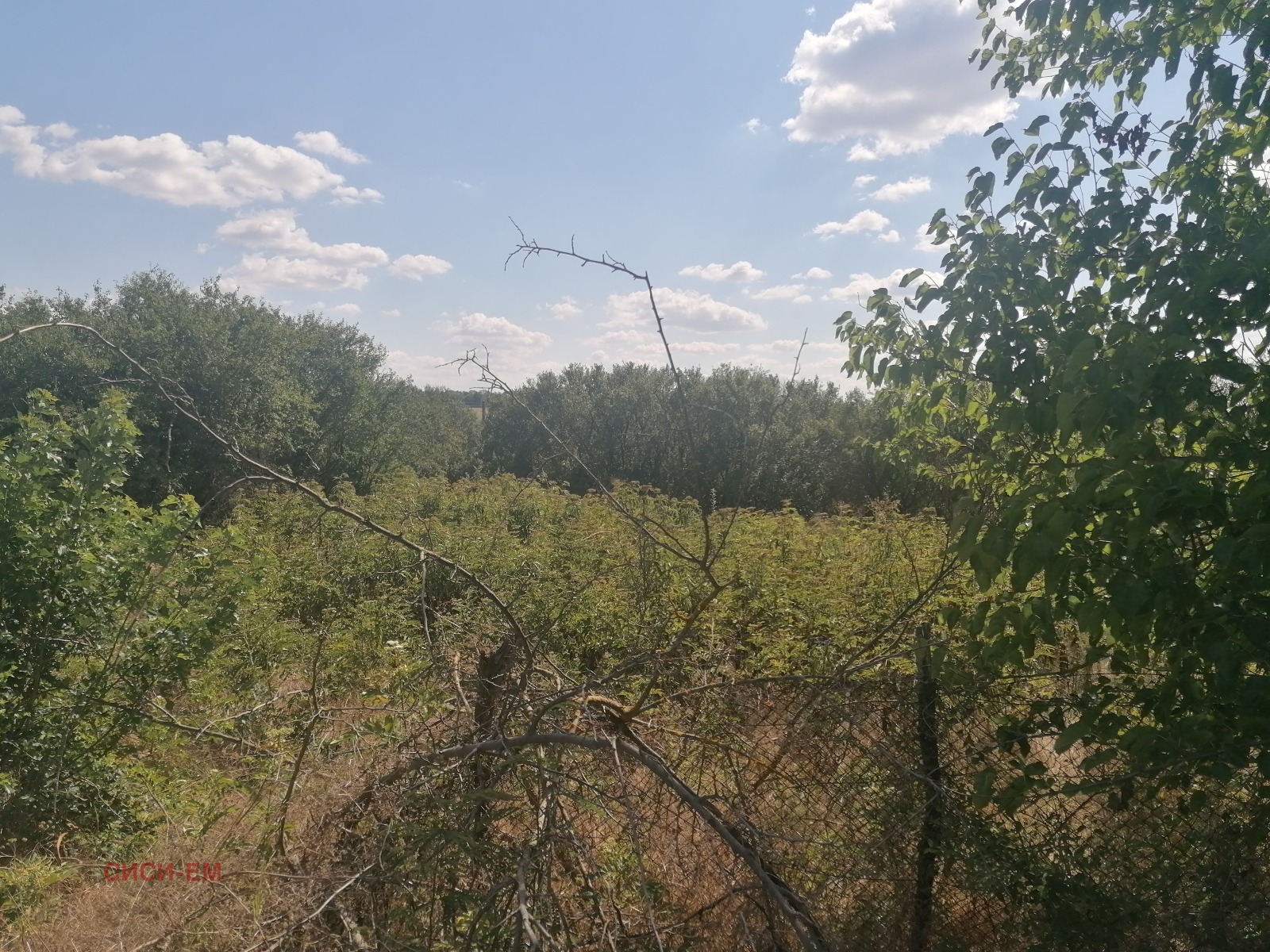 Продава ПАРЦЕЛ, с. Лясково, област Добрич, снимка 2 - Парцели - 53760949