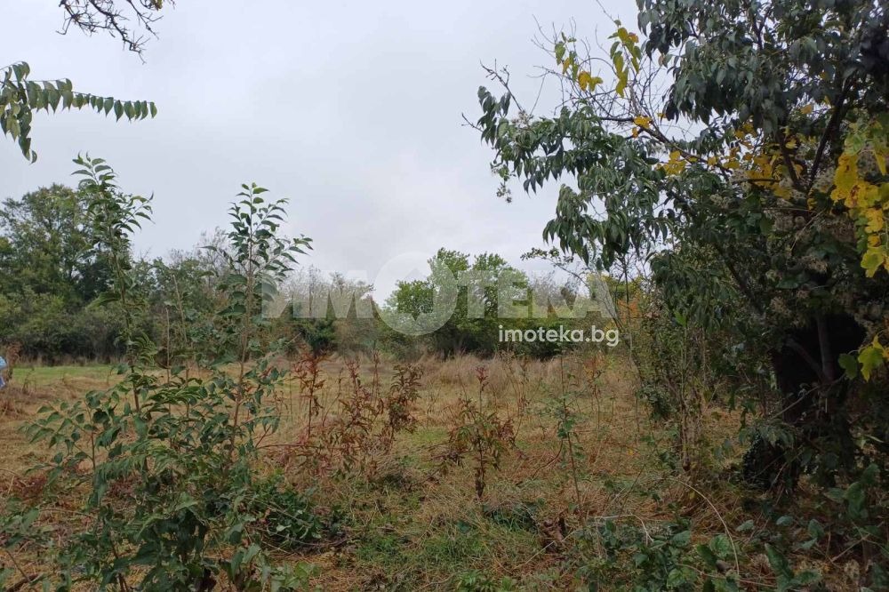 Продава ПАРЦЕЛ, с. Аврен, област Варна, снимка 5 - Парцели - 56703258