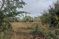 Продава ПАРЦЕЛ, област Варна, с. Аврен • 23000 € • 85106293 7