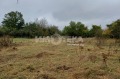 Продава ПАРЦЕЛ, област Варна, с. Аврен • 23000 € • 85106293 6