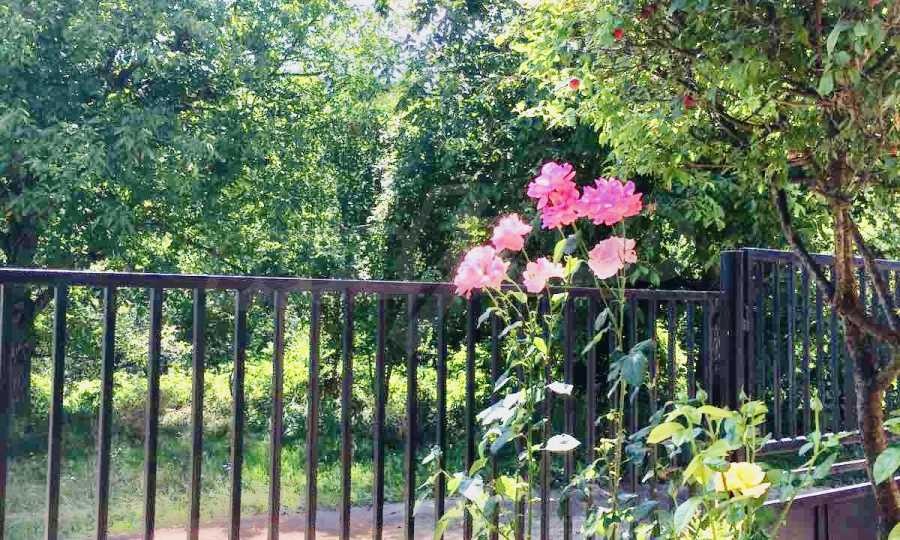 ������� ���� | Imot.bg � ����������� 7