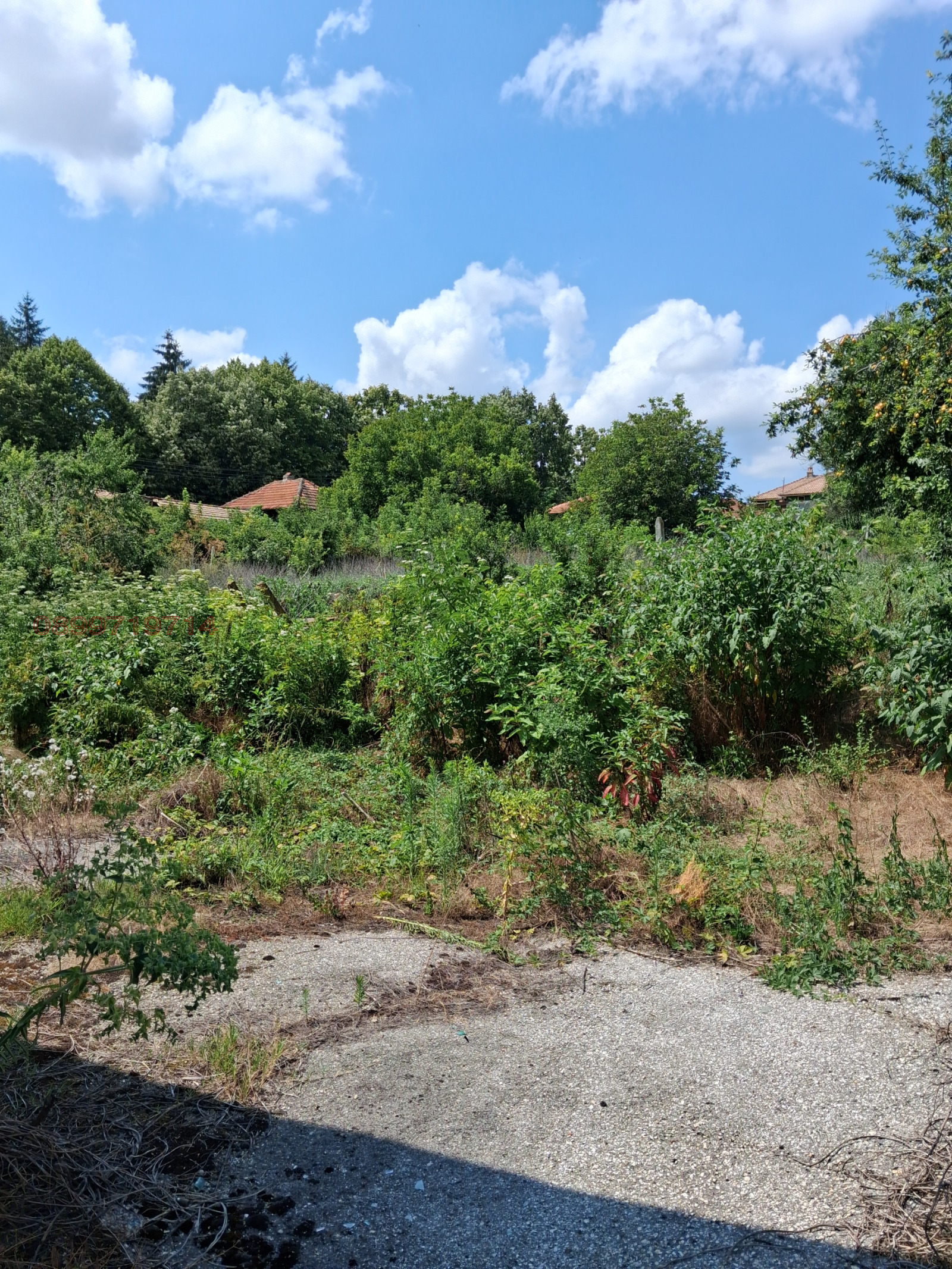 ������� ��������� | Imot.bg � ����������� 12