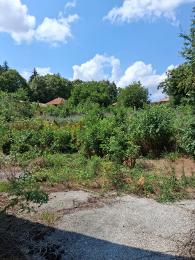 ������� ��������� | Imot.bg � ����� ������ 12