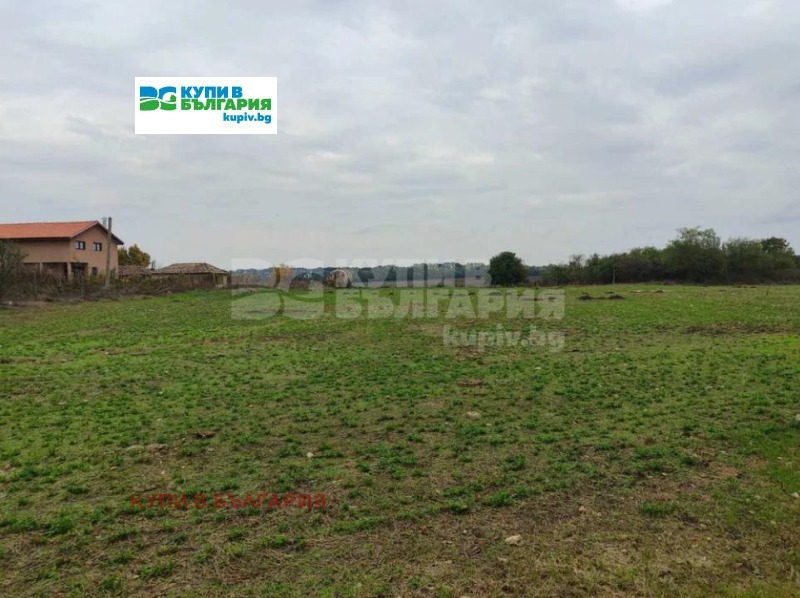 Продава КЪЩА, с. Полковник Свещарово, област Добрич, снимка 4 - Къщи - 52222633