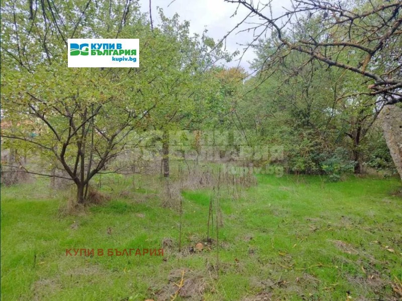 Продава КЪЩА, с. Полковник Свещарово, област Добрич, снимка 3 - Къщи - 52222633