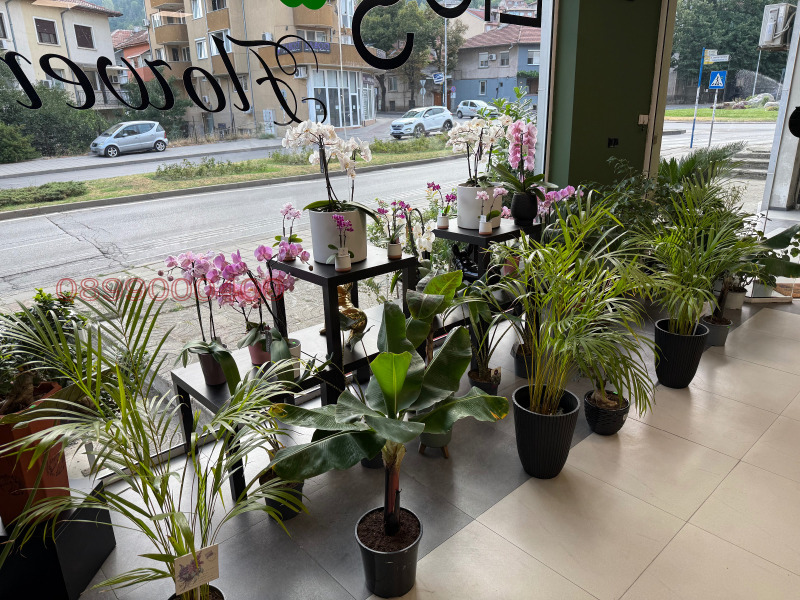 De vânzare  Magazin Blagoevgrad , Idealen țentâr , 75 mp | 83938888 - imagine [4]