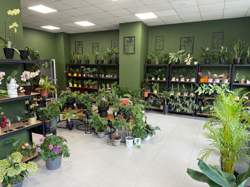 De vânzare  Magazin Blagoevgrad , Idealen țentâr , 75 mp | 83938888 - imagine [2]