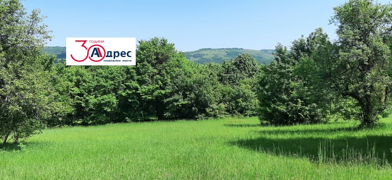 Продава ПАРЦЕЛ в област Велико Търново, гр. Елена - 3490 кв.м / 20 451.68 € » 40 000 лв., АДРЕС НЕДВИЖИМИ ИМОТИ - КАНТОРА ЕЛЕНА
