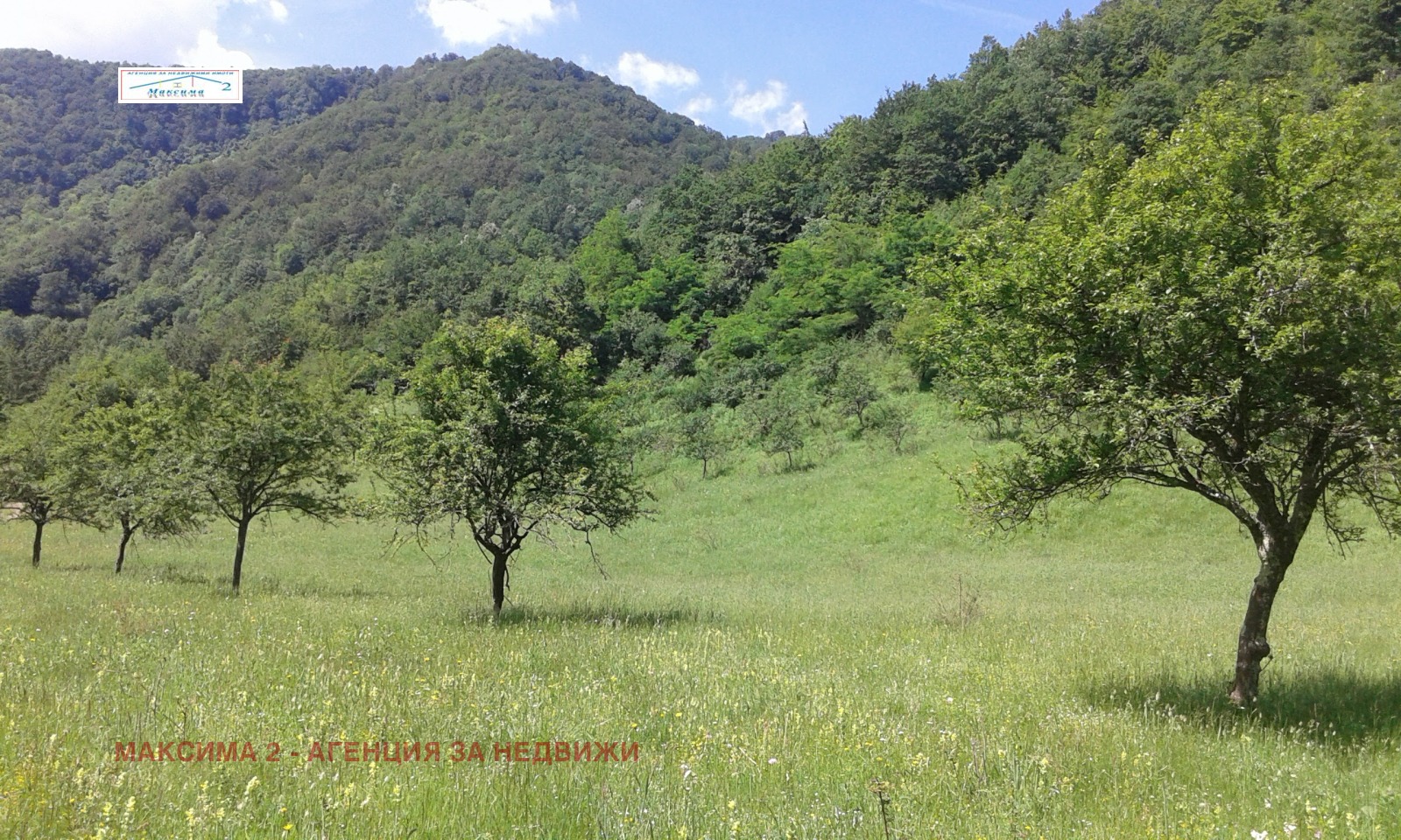 ������� ������ | Imot.bg � ����������� 7