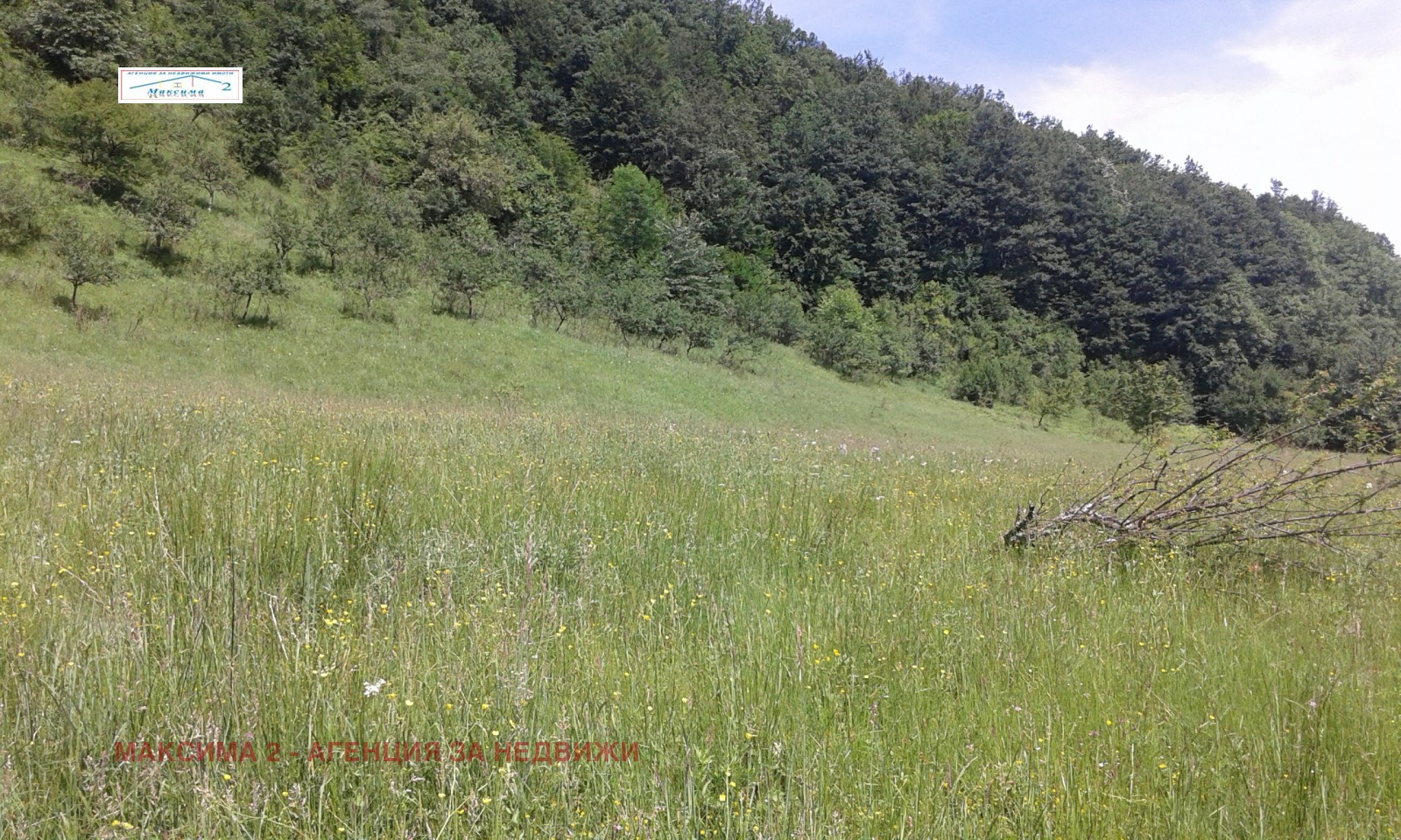 ������� ������ | Imot.bg � ����������� 9