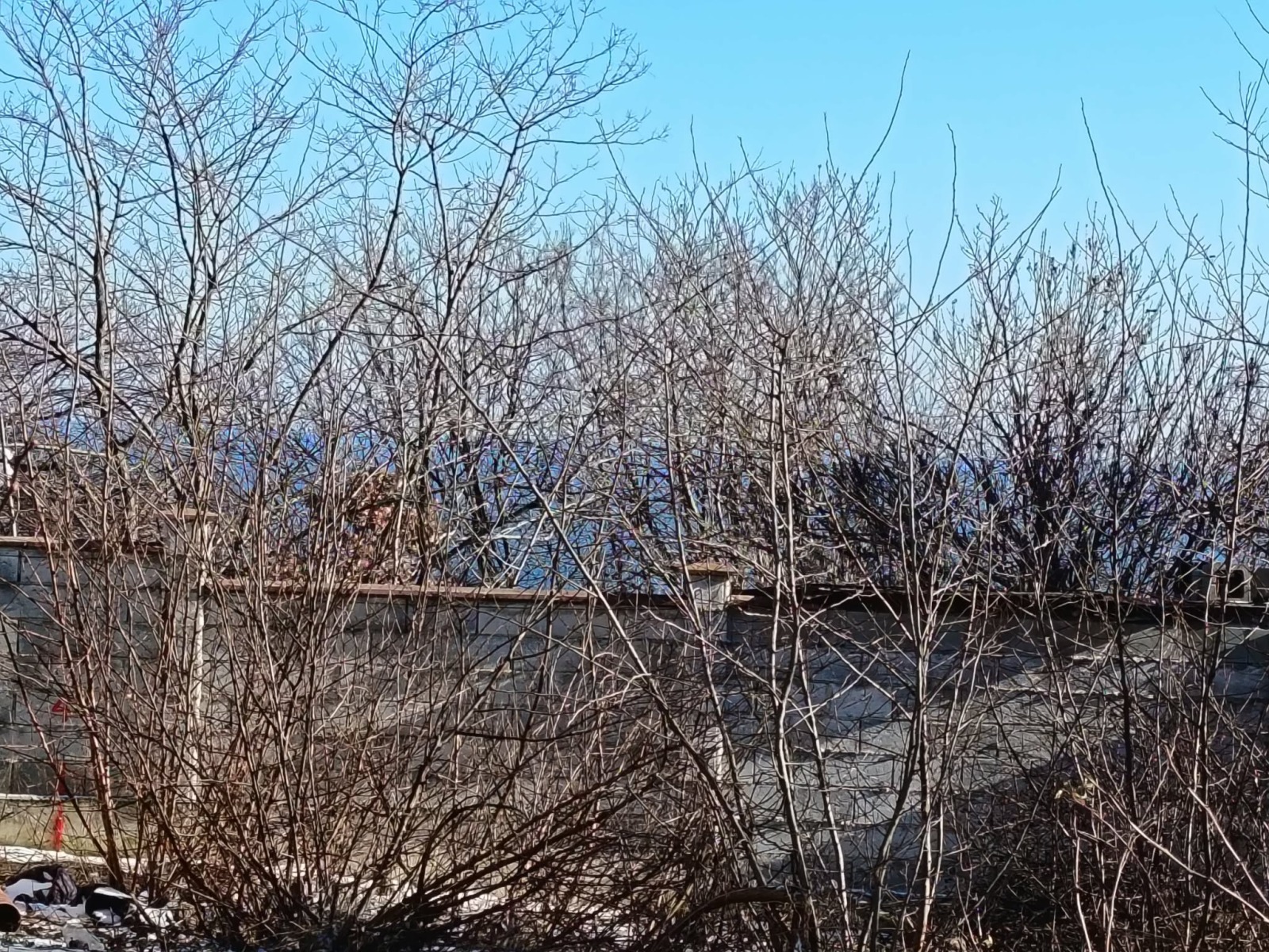 ������� ������ | Imot.bg � ����������� 1