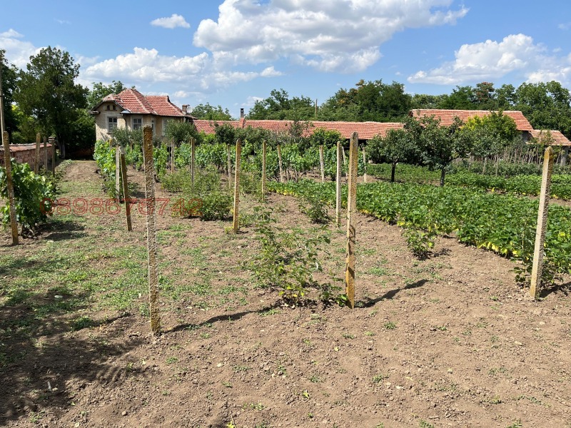 Продава  Къща област Плевен , с. Борислав , 320 кв.м | 51734504