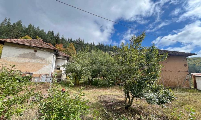 Продава КЪЩА, с. Ново село, област София област, снимка 4 - Къщи - 52464590