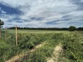 Продава ПАРЦЕЛ, с. Кичево, област Варна, снимка 1