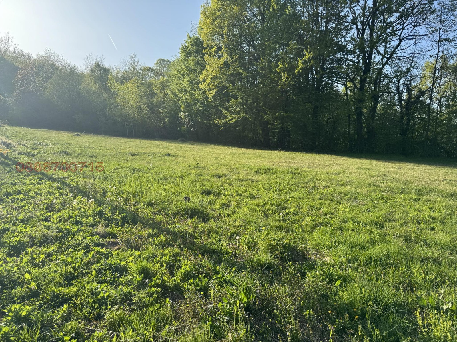 Продава ПАРЦЕЛ | Imot.bg — изображение 2