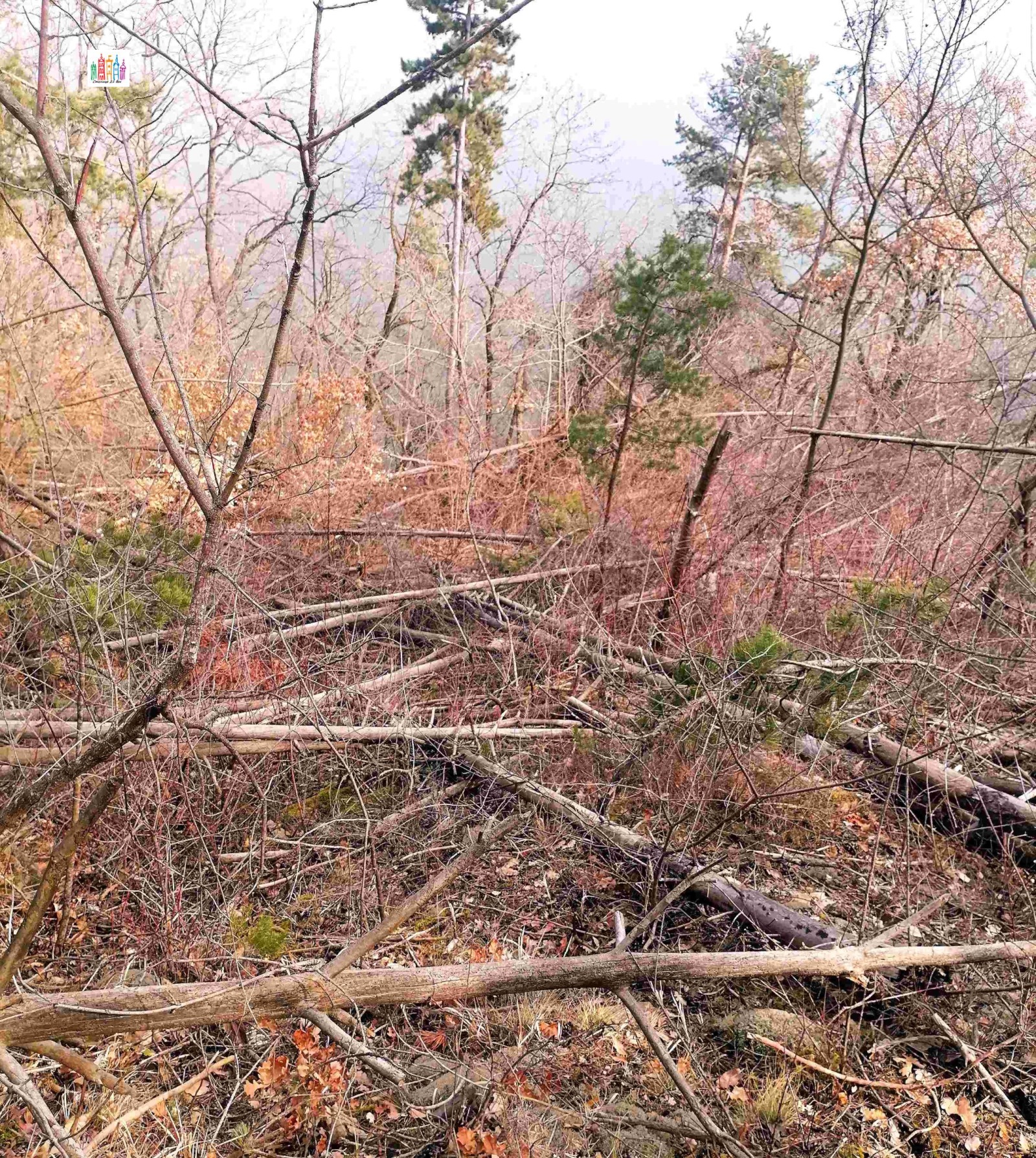 ������� ������ | Imot.bg � ����������� 7