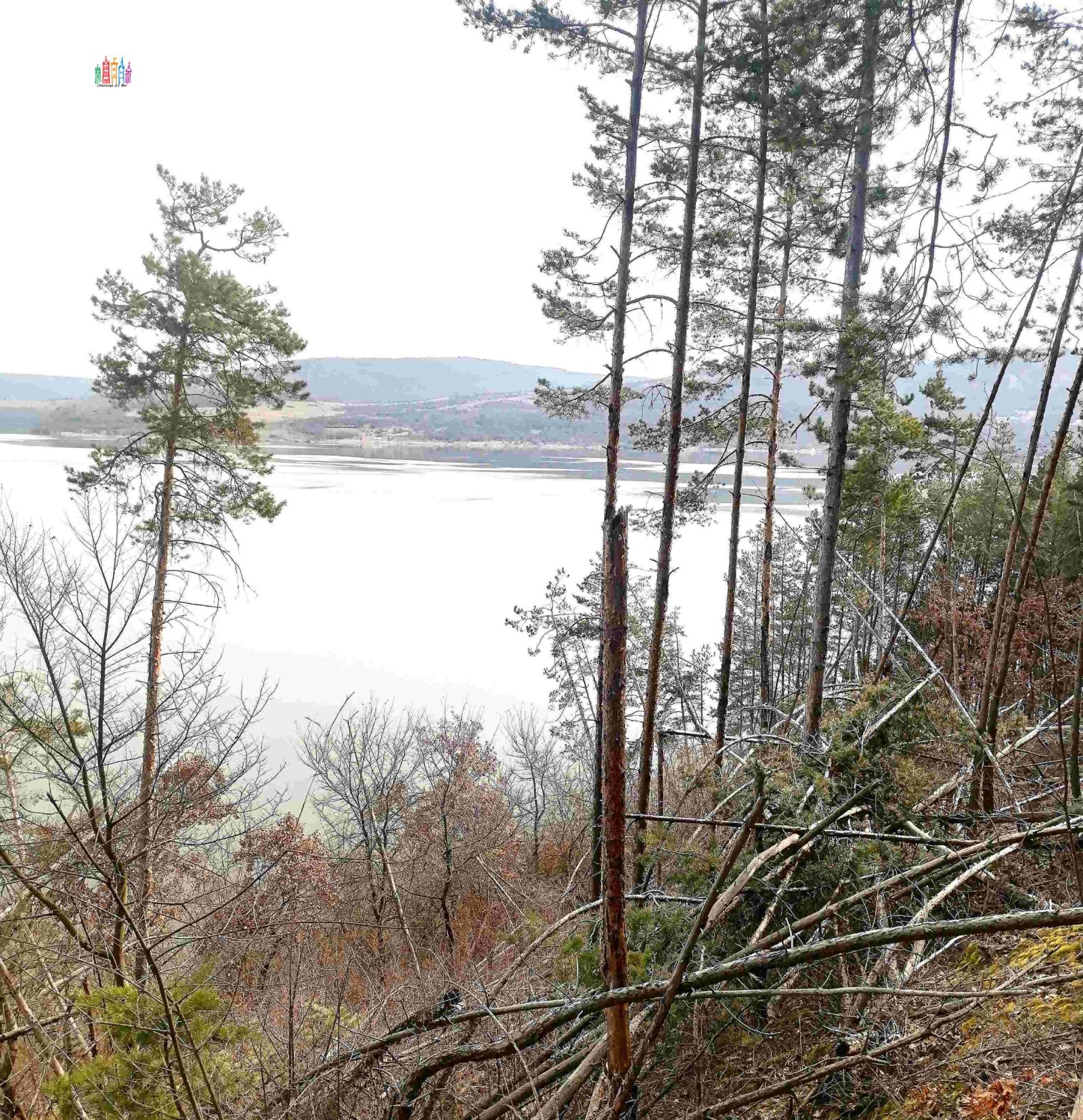 ������� ������ | Imot.bg � ����������� 8