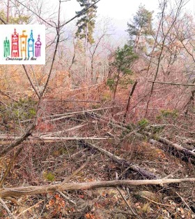 ������� ������ | Imot.bg � ����� ������ 7