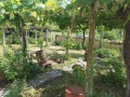 Продава КЪЩА, с. Бял бряг, област Шумен, снимка 5