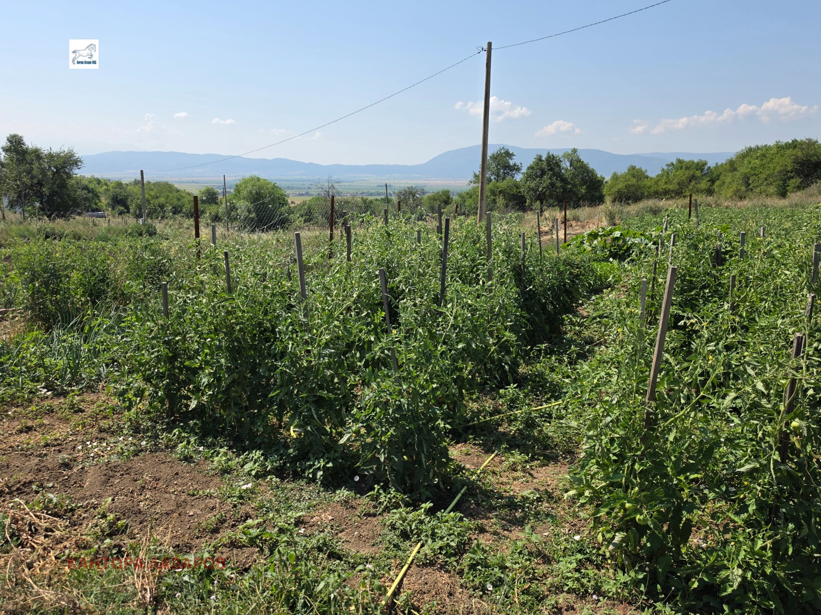 ������� ���� | Imot.bg � ����������� 16