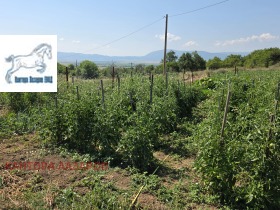������� ���� | Imot.bg � ����� ������ 16