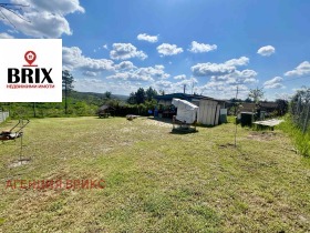 ����� ������� ������,���� ����, ��������