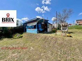 ����� ������� ������,���� ����, ��������