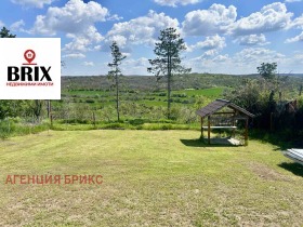 ����� ������� ������,���� ����, ��������