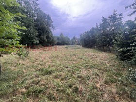 ������� ������ | Imot.bg � ����� ������ 8